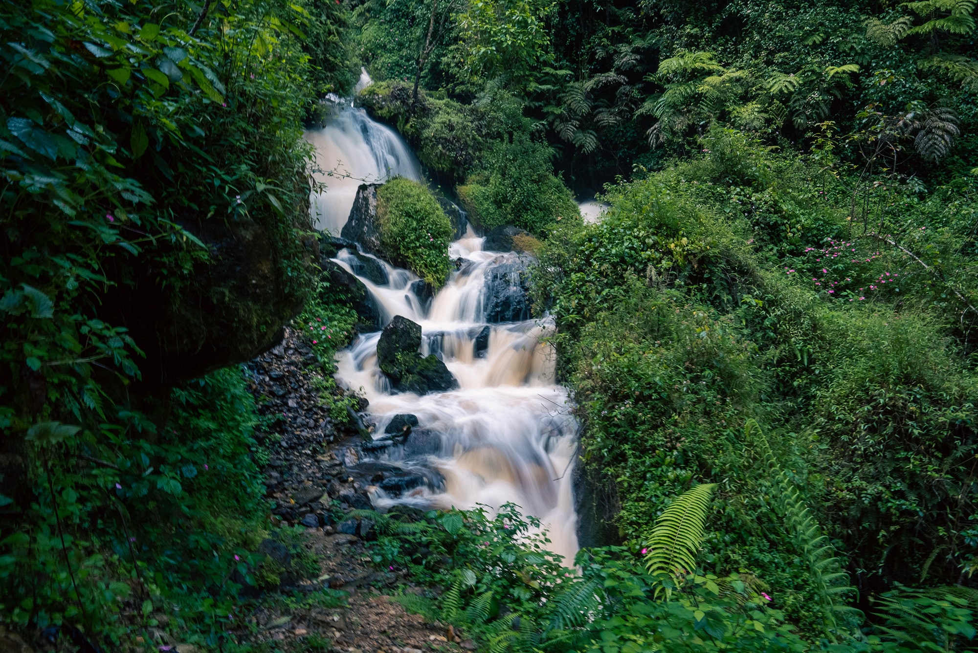 Beautiful waterfall inside Nyungwe National Park