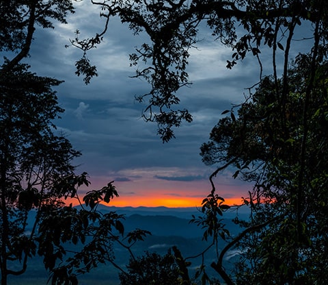 Beautiful sunset in the forest of Nyungwe