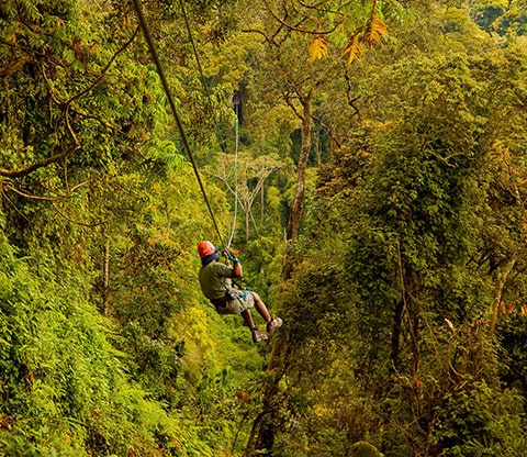 Person on the zipline in Nyungwe National Park